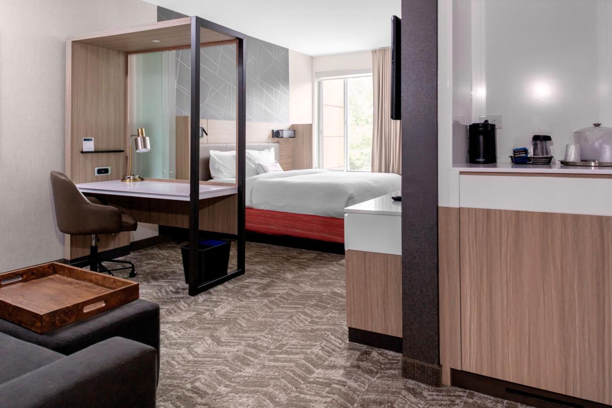 Springhill Suites By Marriott Suwanee Johns Creek Extérieur photo